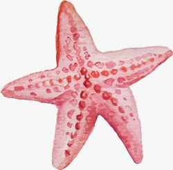 粉红色的海星矢量图素材