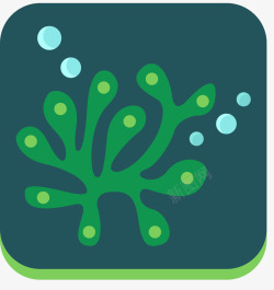 藻类植物方形迷你风格藻类高清图片