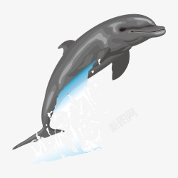 可爱飞腾的卡通海豚矢量图素材