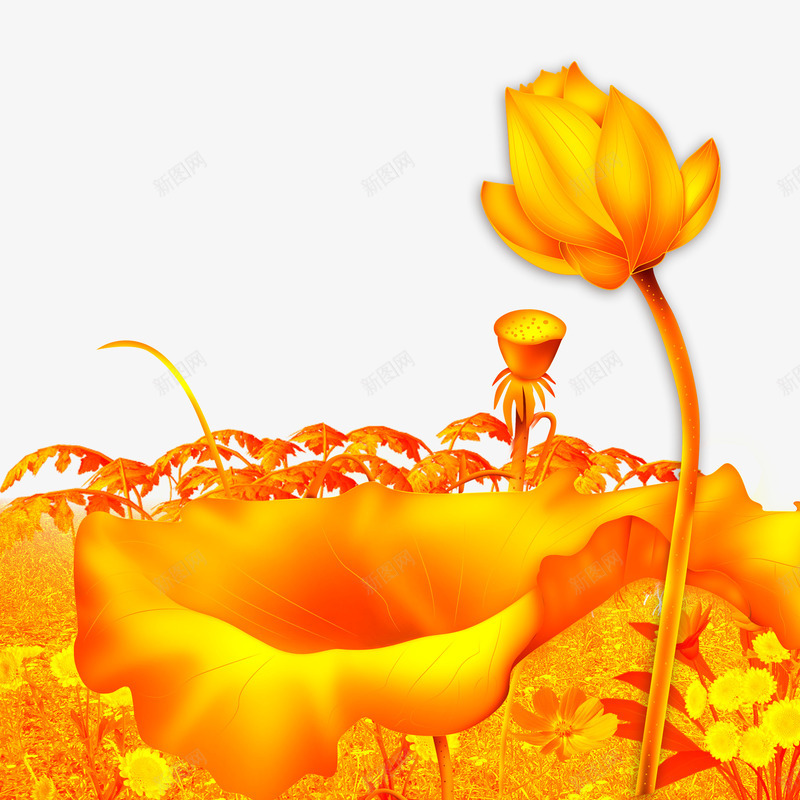 黄金花png免抠素材_88icon https://88icon.com 金子黄花黄金花