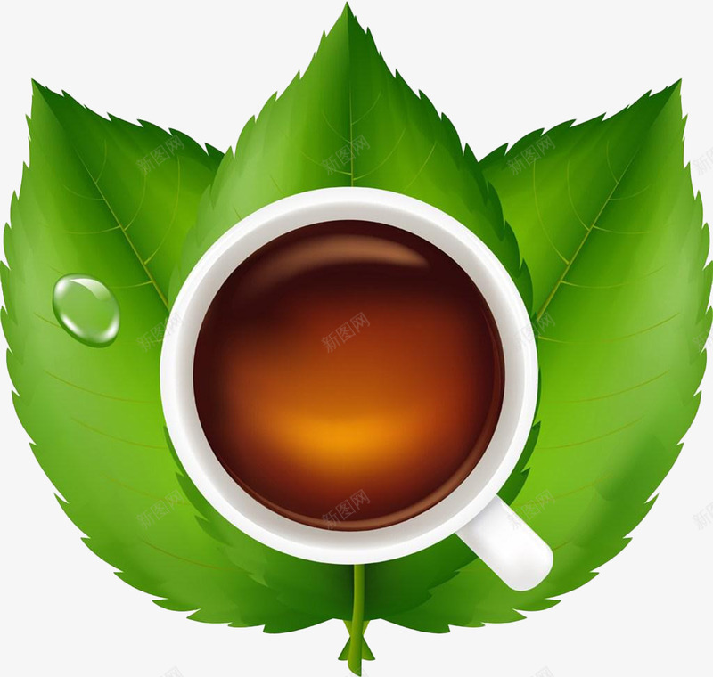 三片茶叶托着茶杯png免抠素材_88icon https://88icon.com 俯瞰 绿叶 茶杯 茶水