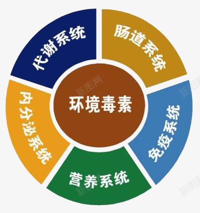 饼状图png免抠素材_88icon https://88icon.com 人体系统 分类 环境毒素 饼状图