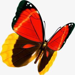 创意手绘扁平飞舞的蝴蝶造型素材
