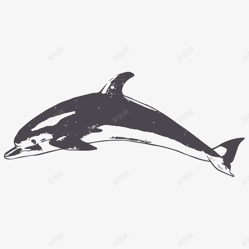 卡通手绘黑色的海豚png免抠素材_88icon https://88icon.com 创意 动漫动画 卡通海豚 可爱的海豚 手绘 黑色的海豚