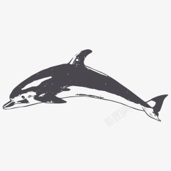 卡通手绘黑色的海豚素材