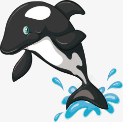 黑色跳水海豚素材