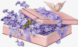 紫色礼盒花素材