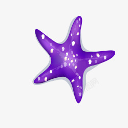 海星的紫色不明物素材