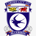 加的夫城市足球联赛冠军png免抠素材_88icon https://88icon.com cardiff city 加的夫 城市