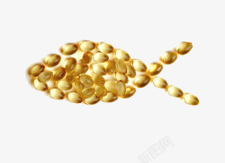 摆成鱼形的小麦胚芽素材
