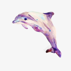 海豚水彩画片素材