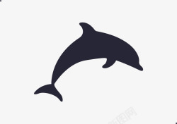 海豚座填充矢量图素材