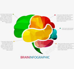 低多边形大脑图表素材