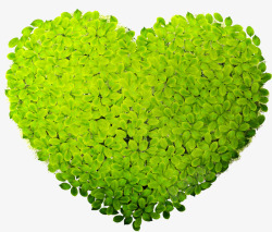 绿色树叶造型爱心素材