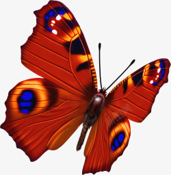 创意手绘质感红蝴蝶造型素材