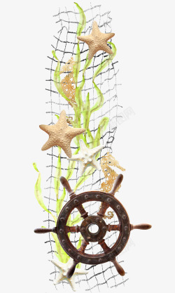 海星海藻装饰素材