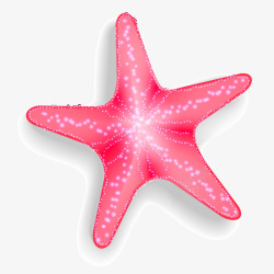 粉色海星素材
