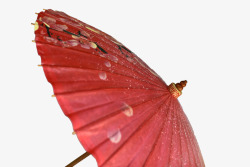 红色花卉油纸伞素材