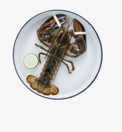 浜虹墿绱犳潗盘子中的大活龙虾高清图片