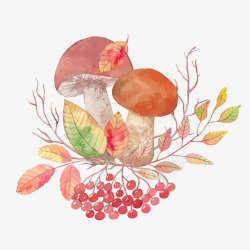 彩色手绘的植物蘑菇素材