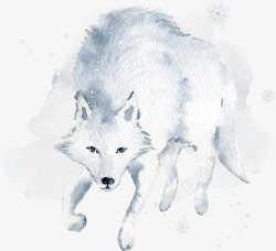 手绘白狼卡通手绘水彩动物高清图片