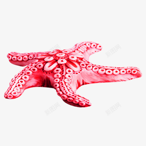 粉色海星png免抠素材_88icon https://88icon.com 创意海星 海星图片 海星装饰