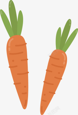 秋季健康蔬菜胡萝卜矢量图素材