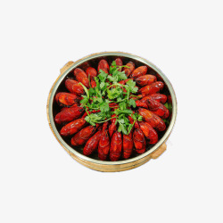 一盆龙虾素材