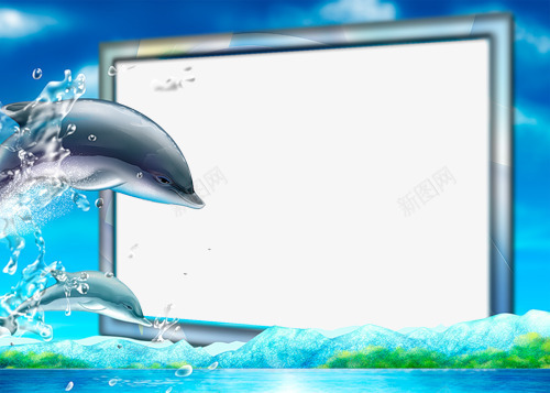 漂亮的海豚相框片png免抠素材_88icon https://88icon.com 海洋 海豚 相框 蓝色