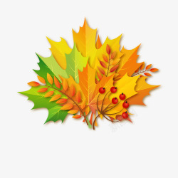 彩色秋季树叶花束素材