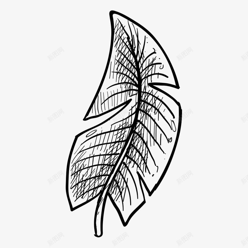 线描叶子png免抠素材_88icon https://88icon.com 叶子 彩绘叶子 手绘叶子 树叶 植物 粗线条 线描叶子 绘画 绿色 自然 装饰图案