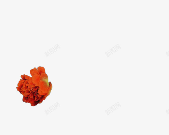 创意合成红色的花朵造型效果png免抠素材_88icon https://88icon.com 创意 合成 效果 红色 花朵 造型