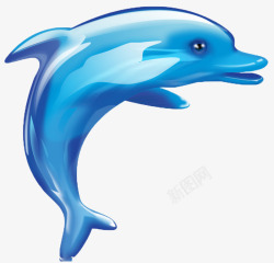 海豚动物可爱素材