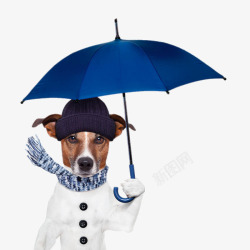 打着蓝色雨伞的狗狗素材
