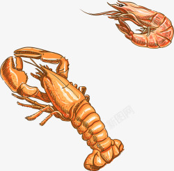 水彩龙虾和基围虾矢量图素材