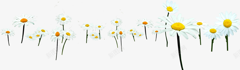 白色唯美踏青草地美景png免抠素材_88icon https://88icon.com 白色 美景 草地 踏青