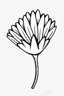 植物手绘黑色花卉图标图标