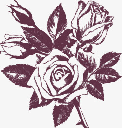 玫瑰花花纹矢量图素材