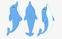 海豚动物可爱素材