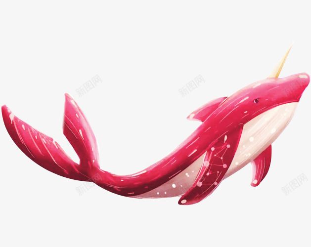 一条红色的海豚png免抠素材_88icon https://88icon.com 大海遨游 海豚 海鱼 红色