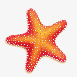 沙滩海星夏天矢量图素材