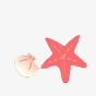 粉红海星素材