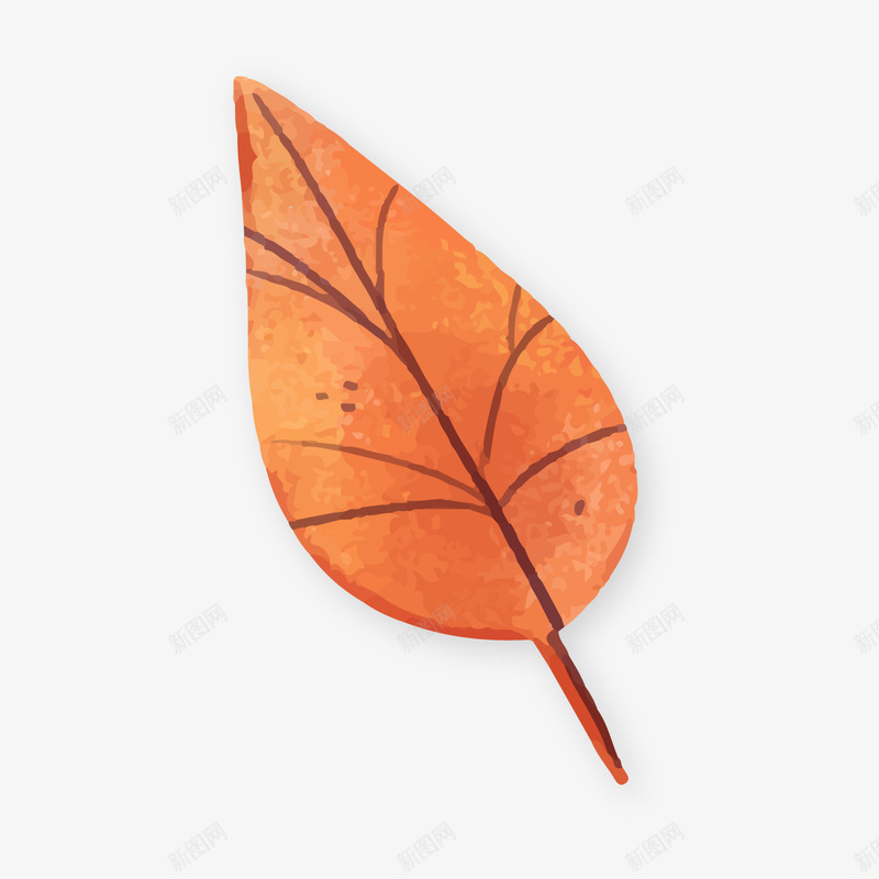 秋季叶子植物png免抠素材_88icon https://88icon.com 卡通叶子 植物 秋季叶子 背景装饰