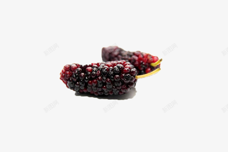 桑果的优秀png免抠素材_88icon https://88icon.com 桑果 桑葚 水果 紫色 食物