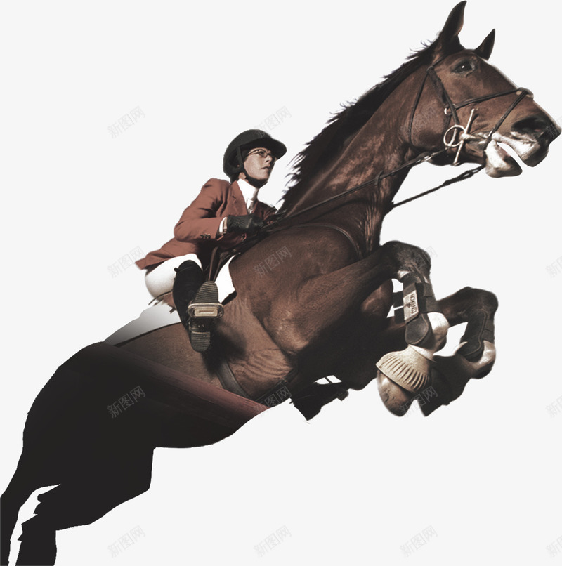 骑马的女孩png免抠素材_88icon https://88icon.com 人物 地产 女孩 骑马