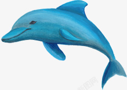 蓝色手绘海豚矢量图素材