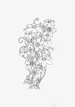 手绘线描花朵矢量图素材
