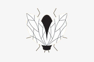 简笔画苍蝇昆虫造型素材