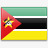 国画梅花莫桑比克国旗国旗帜图标图标