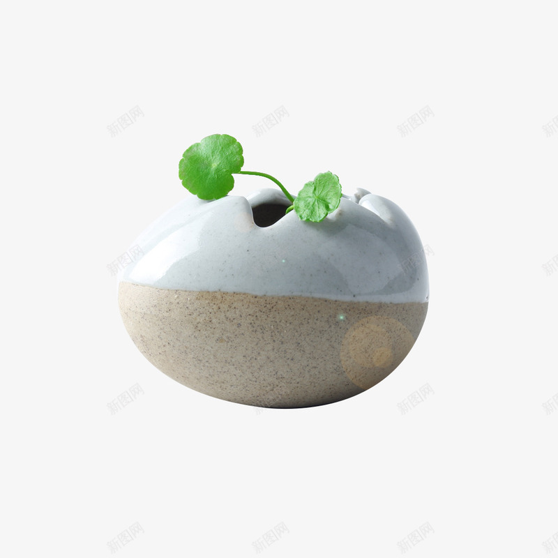 鸡蛋壳造型花盆png免抠素材_88icon https://88icon.com 产品实物 土壤 植物 铜钱草